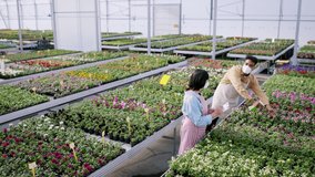Top view of group of people working in garden centre. - Powered by Shutterstock - Get 15% off with code: PIKWIZARD15