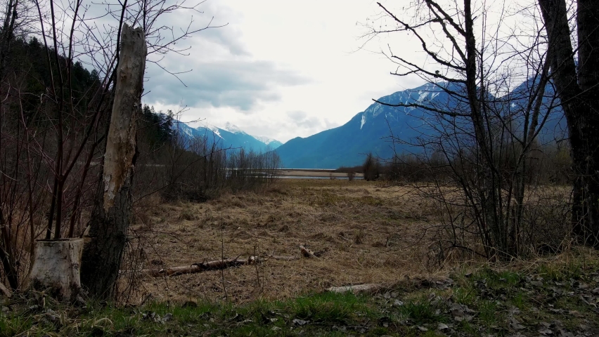 Slow move through trees at Lillooet Lake in British Columbia, Canada.