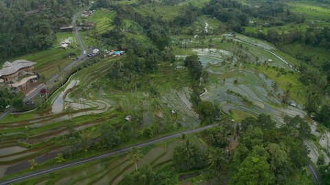 Cars driving on the rural road through Bali countryside with irrigated rice fields. Aerial view of wet farm fields in Indonesia