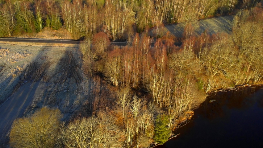 aerial view from forest beach when drone is moving backwards. Colorfull autum trees and forest road in video.
