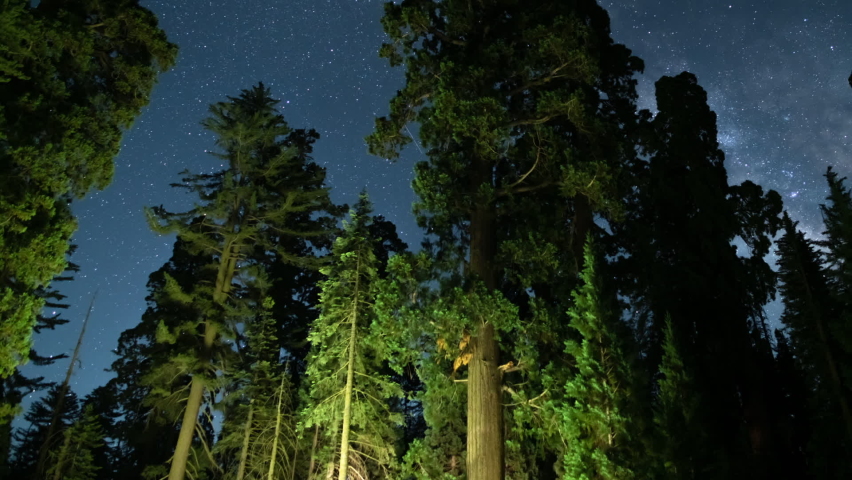 Sequoia Giant Trees Milky Way Galaxy South Sky Pan R in Sequoia and Kings Canyon National Park General Grant Grove California USA