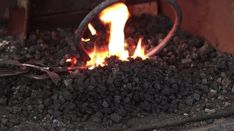 Heating a forged ring with forge welded leaves in the blacksmiths coal fire