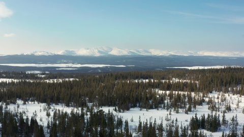 Untouched remote wilderness in winter. Forest and snow covered mountains on a sunny day or sunset. Aerial drone shot over trees
