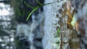 Closeup shot of shallow bubbling water with a waterfall in the background showing the idyllic summertime nature. Vertical Format Video. selective focus