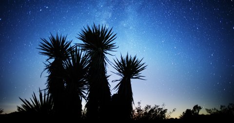 Brilliant Sky with Milky Way Star Lapse in Mojave Desert