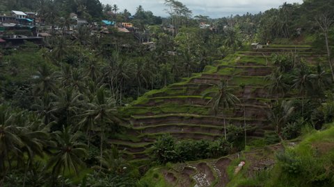 Slow aerial dolly shot of small rural village and terraced paddy field farms on the side of the mountain in a thick rainforest in Bali