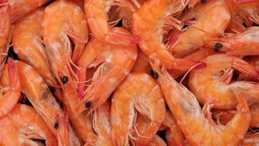 fresh shrimps top view. Sliding shot.  4K UHD video
