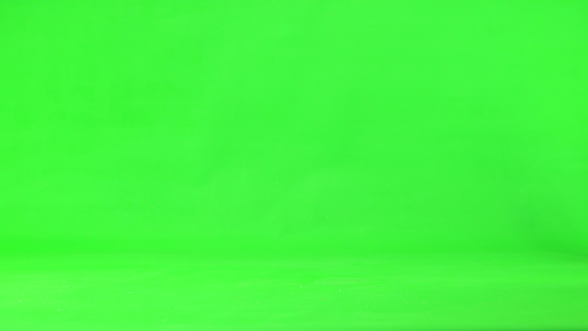 gray and black chickens run out onto the green screen, run from right to left