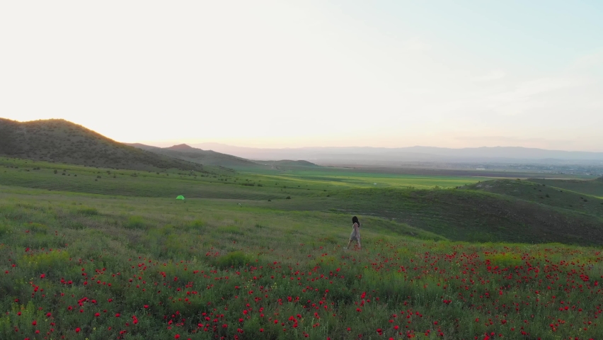 Aerial tracking view young caucasian woman walk in green spring field with tent and sunset background.Countryside camping vacation