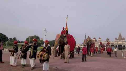 Mysuru, Karnataka, India-October 25 2020; A Rehearsal parade of Royal elephants dressed in colorful costumes for the Dasara festival in Mysore Palace in Karnataka, India in 4k resolution.
