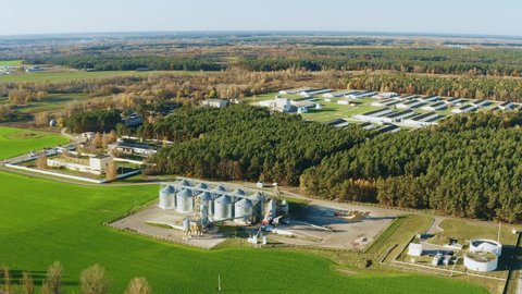 Aerial View Modern Granary, Grain-drying Complex, Commercial Grain Or Seed Silos And chicken farm In Sunny Rural Landscape. Corn Dryer Silos, Inland Grain Terminal, Grain Elevators In Field 4K.