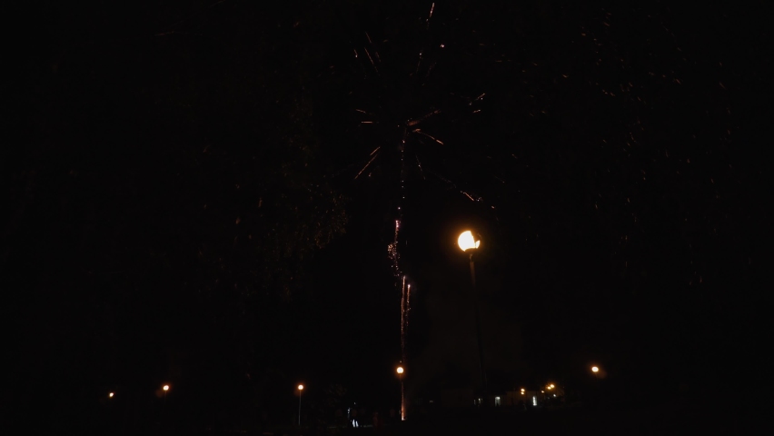 Festive colorful fireworks against the background of the black night sky and lanterns. Pyrotechnics take off with a beautiful trail between tree branches, explode and sparkle.