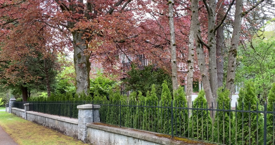 Establishing shot. Neighbourhood of luxury houses with street road, big trees, green fence and nice landscape in Vancouver, Canada. Blue sky. Day time on May 2021. Still camera view. H.264.