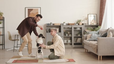 Wide shot of young dark-haired Caucasian man and his blond boyfriend wearing casual clothes sitting on floor at home and playing with adorable French bulldog with small rubber ball