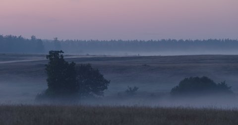 Deep fog in field at dusk