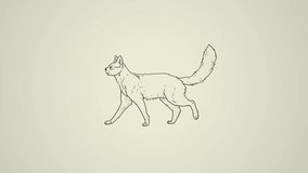 Cat walking Simple line art 2d animation. New educational frame by frame motion video clip design. Background Cartoon game style animal body pose anatomy.