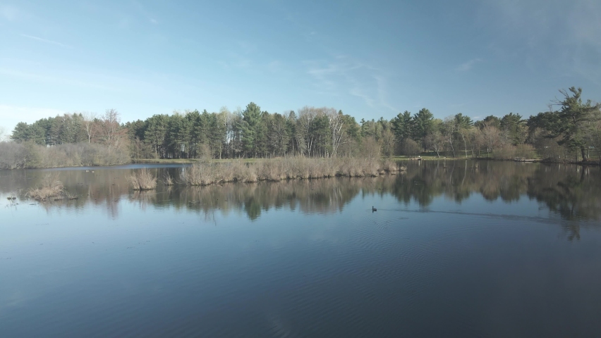 Flying over a clear blue lake with wildlife on a sunny day.