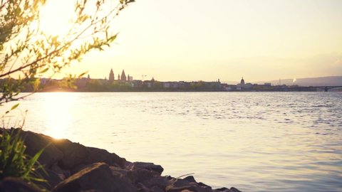 View of Mainz from the Mainspitze in Ginsheim-Gustavsburg, slowmotion with moving camera in the sunset and leaves and rocks in the foreground