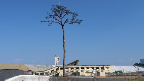 Only one pine tree left by the tsunami. Lightning rod is attached. Blue sky and ruin building background. Rikuzentakata City, Iwate Prefecture, Tohoku Region, Japan. Earthquake remains