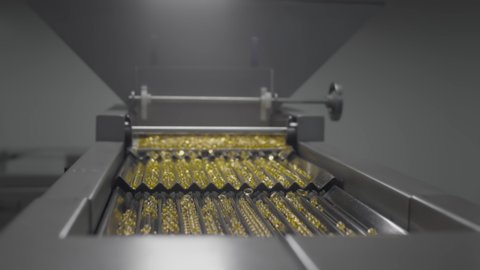 Pharmaceutical production of pills and drugs on manufacturing line. The yellow gel gelatin capsules move on an automatic conveyor. Creation of tablets and medicines at the factory.