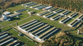 Aerial View Modern chicken farm, barns, Sheds. Bird's-eye View In Sunny Rural Landscape 4K. - Powered by Shutterstock - Get 15% off with code: PIKWIZARD15