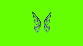 Colorful Butterfly Wings On Green Screen Matte Background 4k Animation Stock Footage. 3D Butterfly Stock Videos.