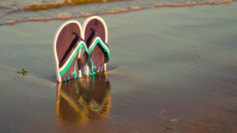 Flip flops in the mud of the beach