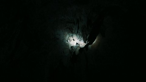 Bats in Caves, Khao Sok Lake, Thailand