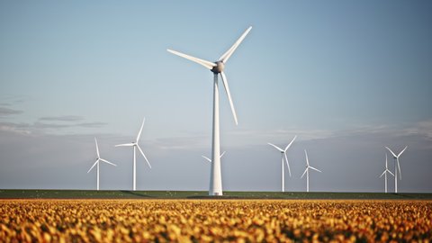 Wind Turbines Spinning With Tulip Fields At Daytime. - wide static