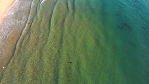 Drone aerial shot of crystal clear water sand ocean swell waves Terrigal Beach tourism Central Coast NSW Australia 3840x2160 4K