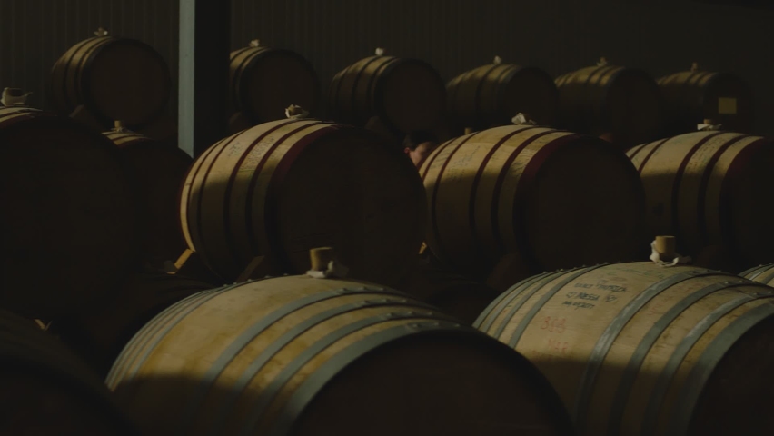 Aged wooden barrels with a wine , brandy or whiskey in a big warehouse . Dolly , gimbal movement a long row of wine barrels at a vintage winery with alcohol . Wine preparation and fermenting process | Shutterstock HD Video #1072063264
