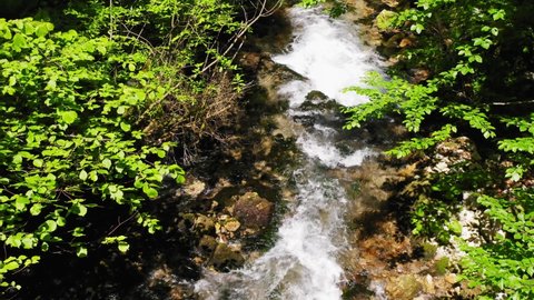 Crna rijeka stream with the rapids and rocks covered by moss, Plitvice Lakes, Croatia