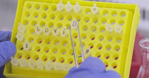 Scientist with tweezers, lays out small test tubes on a yellow laboratory PCR plate, the word "covid-19", the close-up.