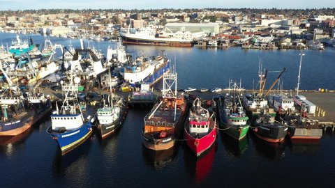 Drone footage of Fishermen's Terminal at Salmon Bay near Ballard, Seattle, Puget Sound with fishing boats ships and yachts in the background