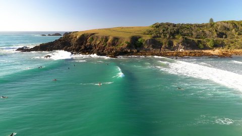 Beautiful drone shot starting on surfers then flying over Kangaroos on cliff at Coffs Harbour Australia