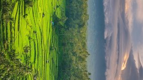 Foggy landscape with beautiful rice terraces island Bali on background majestic volcano Gunung Agung or Mount Agung, located in the district of Karangasem. 4K Cinematic Time Lapse