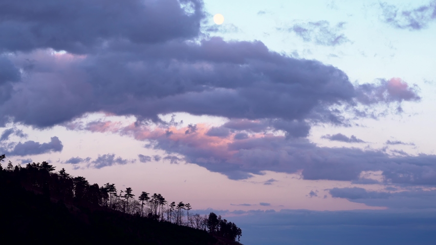 Calm and relaxing minimal scenery of beautiful dusk sky with tree silhouette