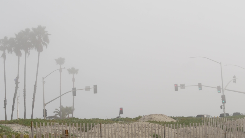 Traffic light semaphore, highway road by sandy misty beach, Encinitas California USA. Pacific ocean coast, fog on sea shore. Coastline near Los Angeles, palms in smog haze. Gloomy weather on shoreline