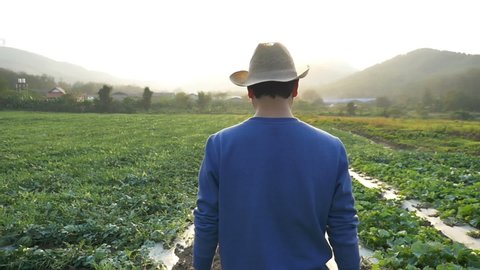 Farmer Walking In Field With Sunset
