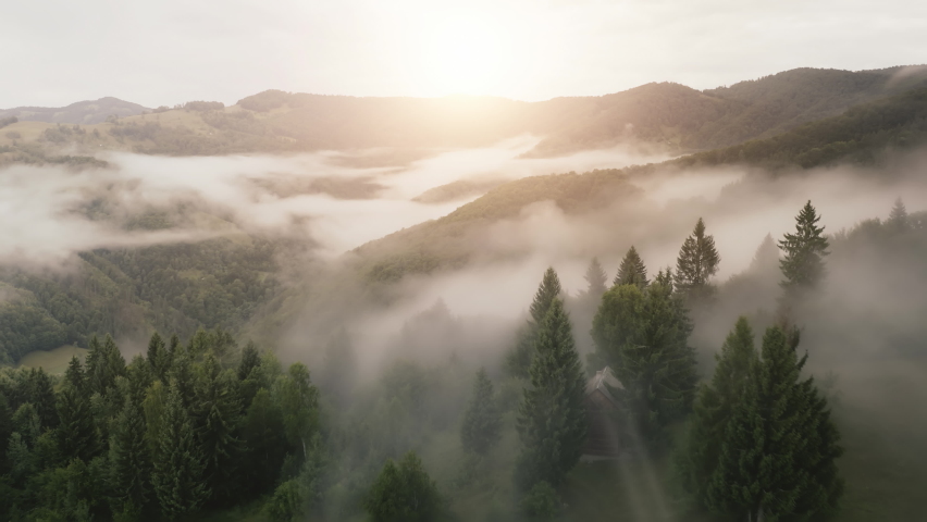 Mountain forest at sunrise fog aerial. Sun rays over mist pine trees. Autumn nobody nature landscape. Heavy clouds over green spruce wood on hills. Natural beauty. Cloudy sky. Himalaya, Nepal, Asia