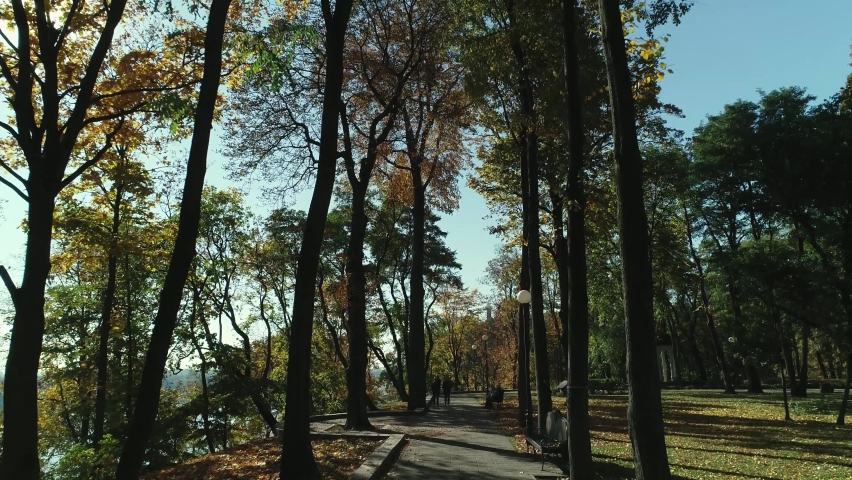 Aerial view along the sunny autumn park walley on the bank of the river