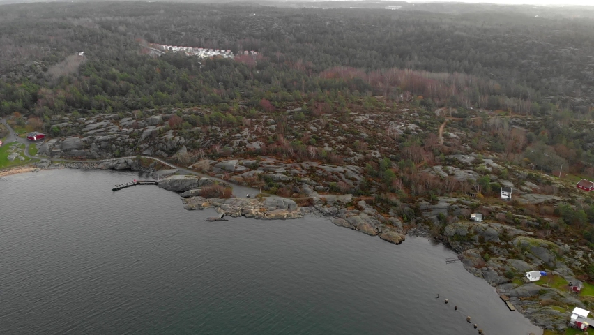 Aerial of large coastal area with rocky surface and green tree forest
