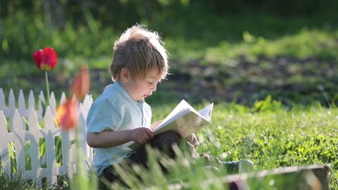Beautiful blond toddler child, cute boy in shirt, reading book in garden on sunset, nice soft back light