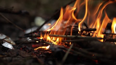 Close up campfire flame at dusk