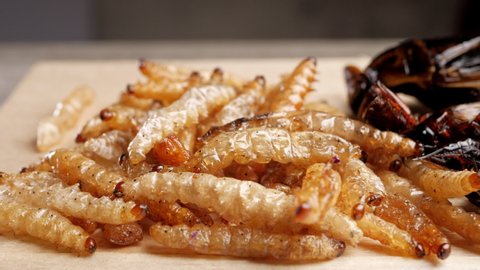 Fried insects on wooden plate. Insects are foods that are high in protein.