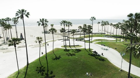 Aerial Tilt Down Shot Of Palm Trees And Venice Skate Park At Beach, Drone Flying Forward Towards Famous Landmark Against Sky On Sunny Day - Los Angeles, California
