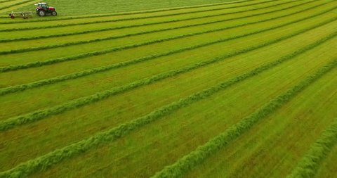 Aerial Panning Low Over A Tractor As It Harvests A Crop, With Lush Green Fields And Rows Of Plants - Isle of Tiree, United Kingdom