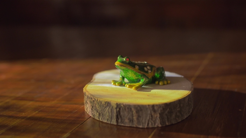 Decorative frog on a presentation base. Beautiful vibrant and luxurious art piece illuminated by a projector. Unique and magical atmosphere. Professional video presentation.