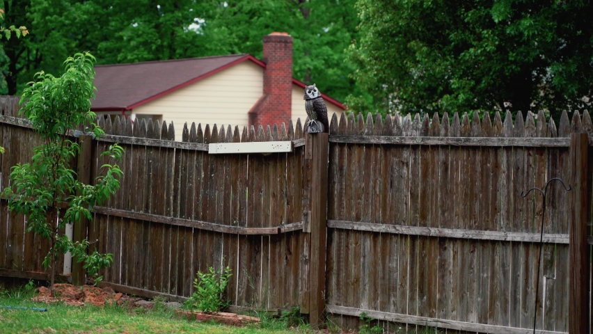 The owl toy stand on fence 