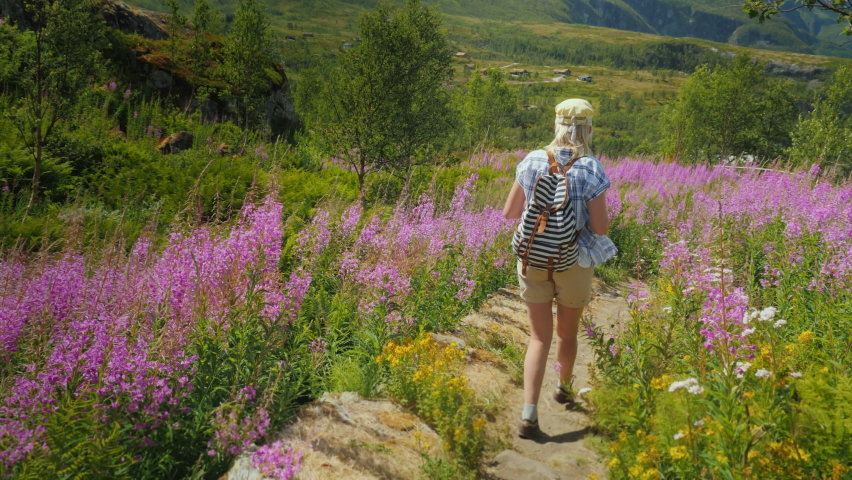 Back view of A woman with a backpack walks along a picturesque path among the flowers of willow-tea.